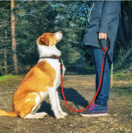 Walk & Travel