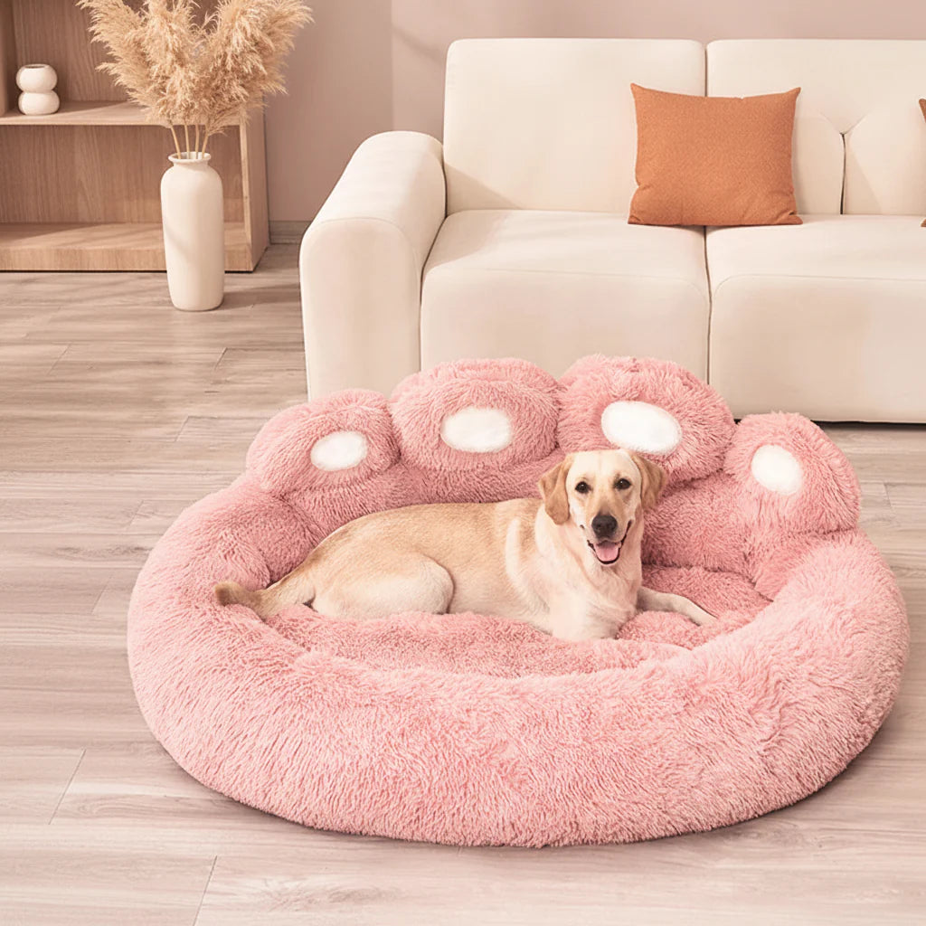 Dog Beds & Comfort